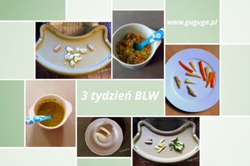 3 tydzień BLW