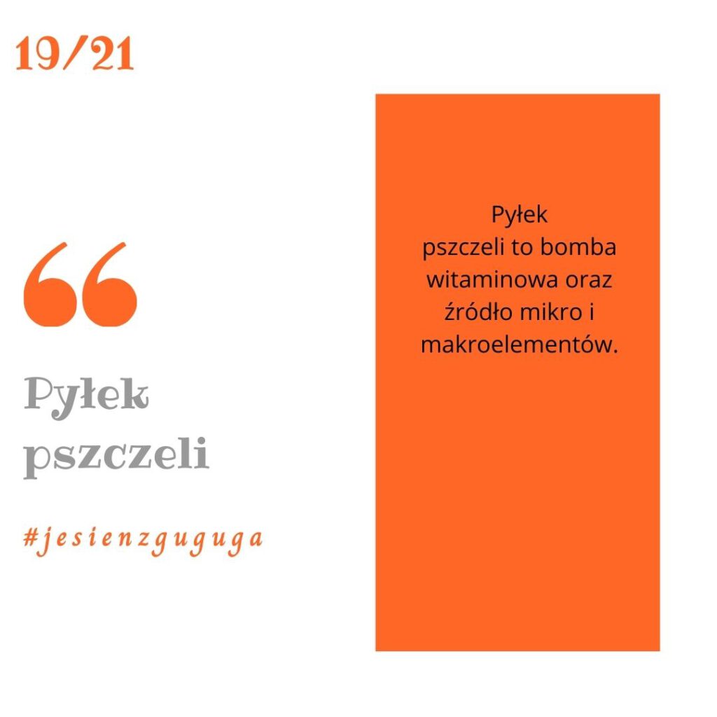 pyłek pszczeli